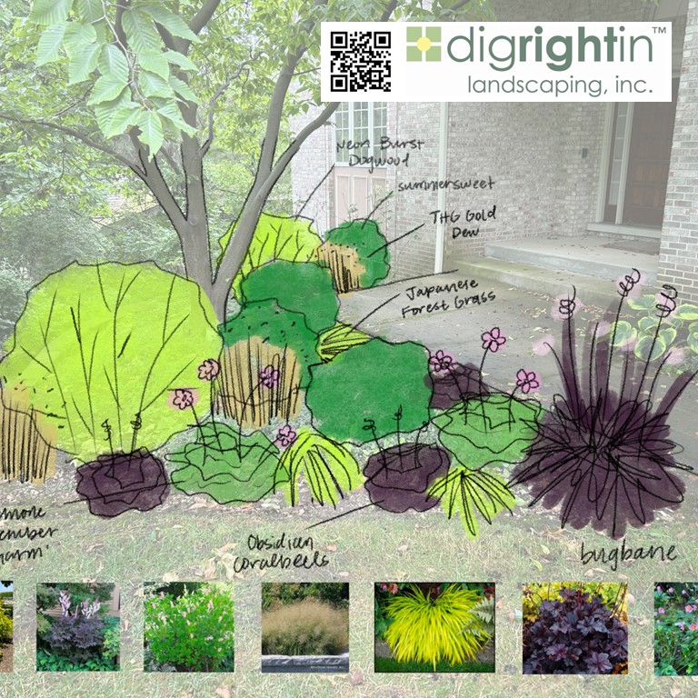 🌿 Celebrating 20 Years of Dig Right In: Landscaping with Purpose