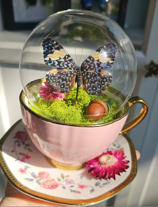 Glassbound Gardens