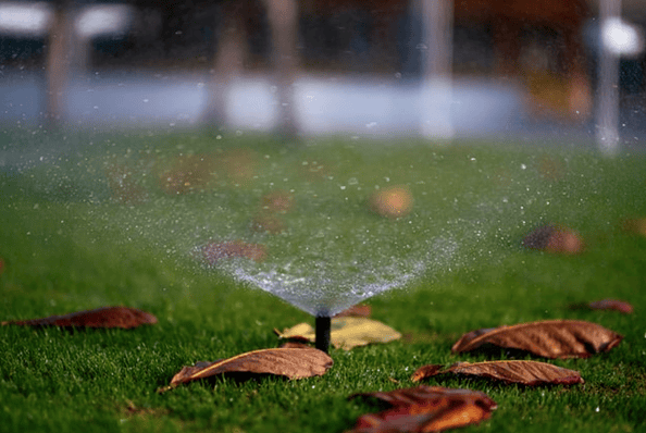 10 Eco-Friendly Landscaping Ideas That Can Make a Big Difference 10 Eco-Friendly Landscaping Ideas That Can Make a Big Difference
